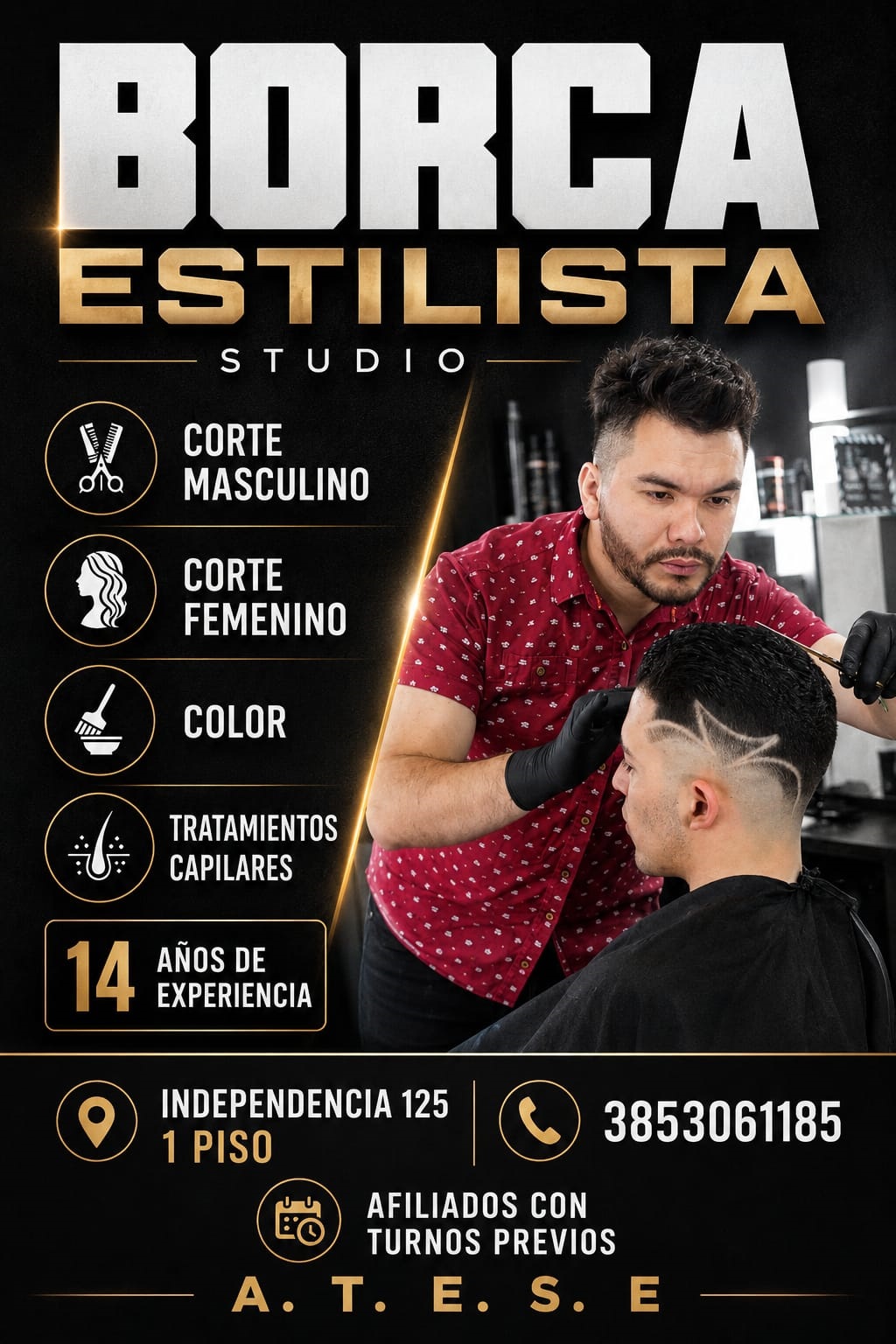 Peluquer&iacute;a ATESE 2