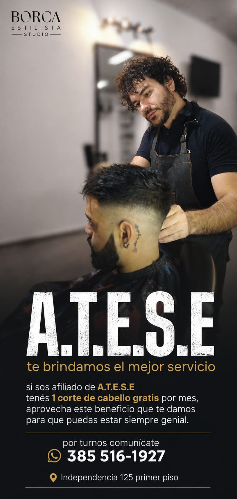 Peluquer&iacute;a ATESE 1